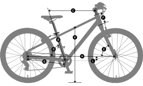 Wild 24 bike store